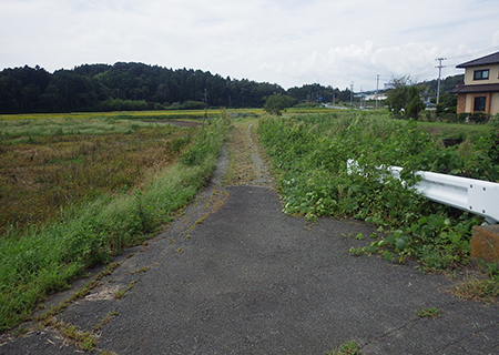 施工前：河川海岸改良（改良）工事（堤防補強）
