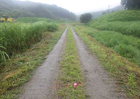 施工前：河川海岸改良（改良）工事（堤防補強）