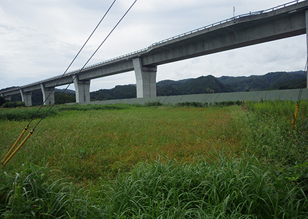 施工前：井出地内外基盤整備工事
